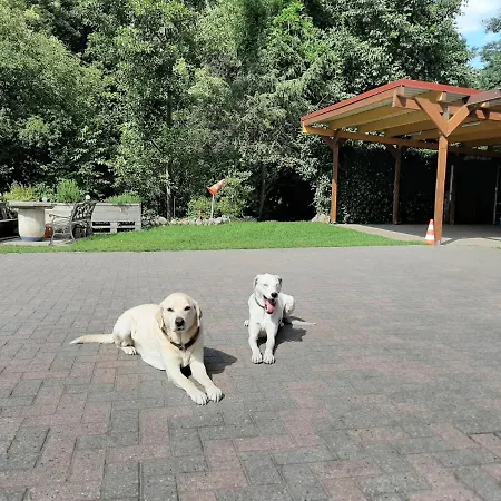Penzion Ferienzimmer Sudheide Beckedorf (Celle)